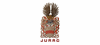 JURAG AG